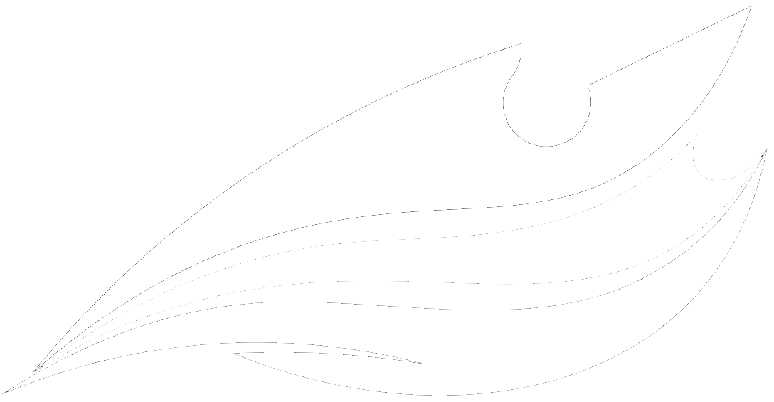 Digital Osprey logo